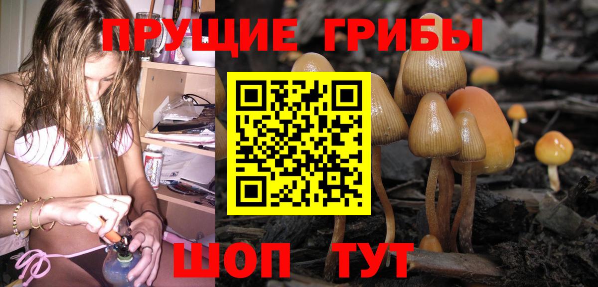 Галлюциногенные грибы мухоморы Домодедово